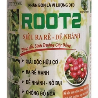 ROOT 2